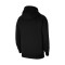 Sudadera Nike con capucha Park 20 Fleece