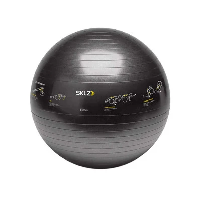 Fitball Trainer Ball Sport Leistung