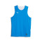 Puma Reversible Hoops Team Top