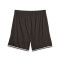 Puma Hoops team Shorts