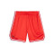 Puma Hoops team Shorts