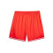 Puma Hoops team Shorts