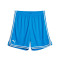 Pantaloncini Puma Hoops Team