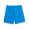 Pantaloncini Puma Hoops Team