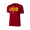 Camisola Nike FC Barcelona Dri-Fit Practice