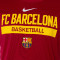 Maglia Nike FC Barcelona Dri-Fit Practice