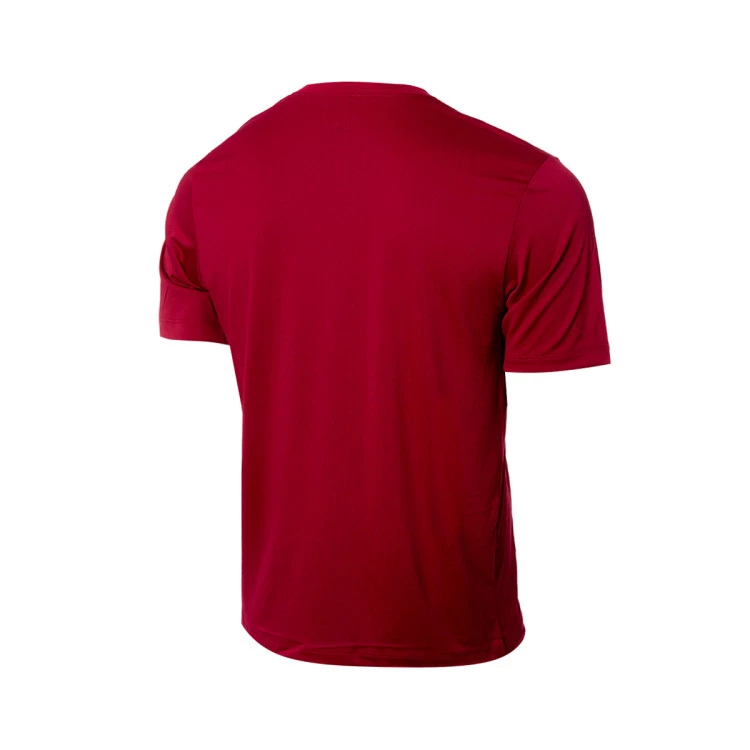 camiseta-nike-fc-barcelona-fanswear-rojo-1