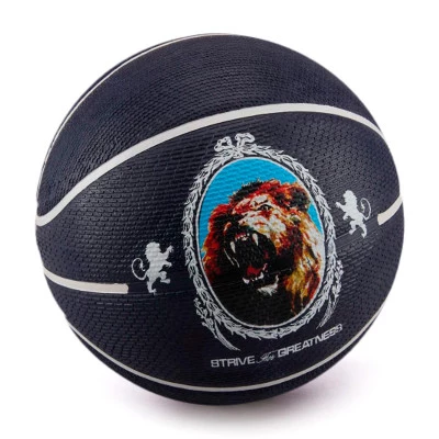 Pallone Playground 8P Lebron James