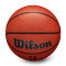 Ballon Wilson NBA Authentic Indoor Outdoor