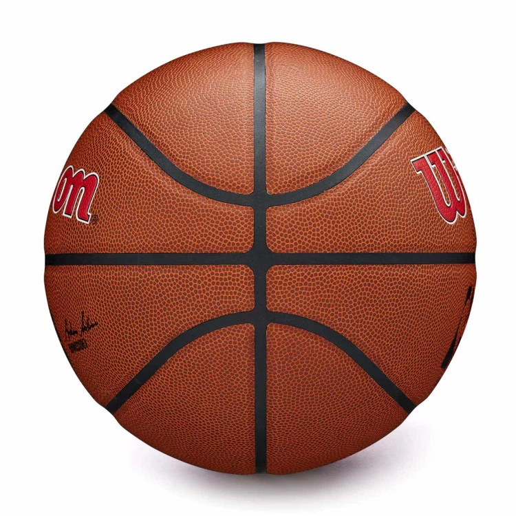 balon-wilson-nba-team-alliance-toronto-raptors-brown-gold-3