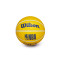 Ballon Wilson NBA Dribbler Golden State Warriors