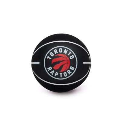 Pallone NBA Dribbler Toronto Raptors