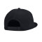 Casquette Under Armour Curry Flatbrim Snapback