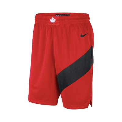 Toronto Raptors Icon Edition Shorts