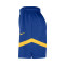 Nike Golden State Warriors Practice 8In Shorts