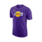 Nike Los Angeles Lakers Fanswear Trikot