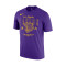 Camisola Nike Los Angeles Lakers Courtside Max90