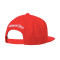 Gorra MITCHELL&NESS Chicago Bulls Team Ground 2.0 Snapback