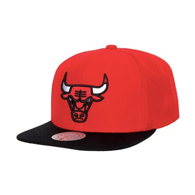 Gorra Chicago Bulls Team 2 Tone 2.0 Snapback