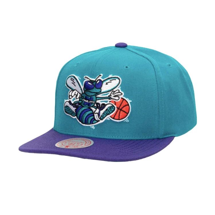 gorra-mitchellness-team-2-tone-2.0-snapback-charlotte-hornets-teal-purple-0