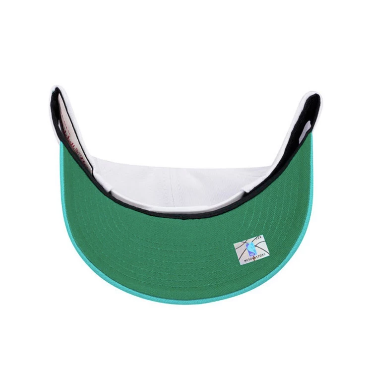 gorra-mitchellness-team-2-tone-2.0-pro-snapback-vancouver-grizzlies-white-2