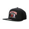 Gorra MITCHELL&NESS Champs Snapback Chicago Bulls 1991-1992