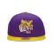 Casquette MITCHELL&NESS Team 2 Tone 2.0 Snapback Louisiana State University