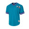 Jersey MITCHELL&NESS Fashion Mesh V-Neck Charlotte Hornets