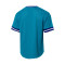 Jersey MITCHELL&NESS Fashion Mesh V-Neck Charlotte Hornets