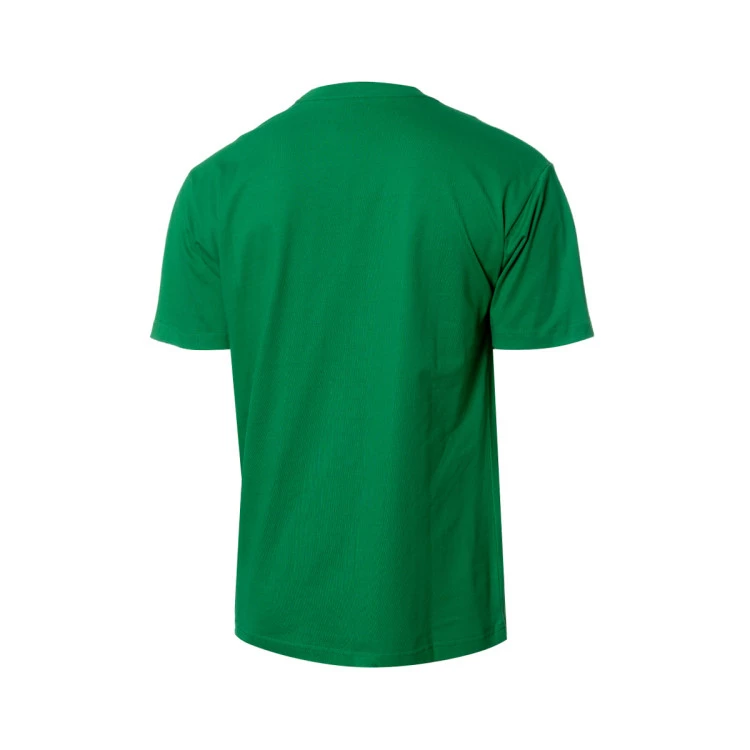 camiseta-mitchellness-premium-pocket-boston-celtics-kelly-green-2