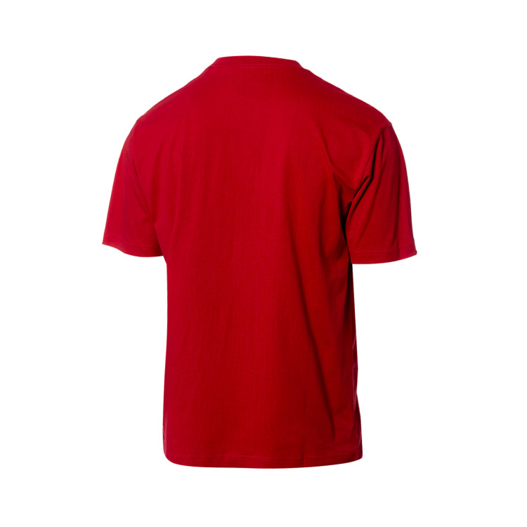 camiseta-mitchellness-premium-pocket-philadelphia-76ers-scarlet-1