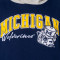 Sudadera MITCHELL&NESS University of Michigan NCAA