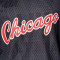 MITCHELL&NESS Wende-Mesh-Übungs-T-Shirt mit Vintage-Logo für die Chicago Bulls Top