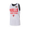 MITCHELL&NESS Wende-Mesh-Übungs-T-Shirt mit Vintage-Logo für die Chicago Bulls Top