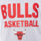 MITCHELL&NESS Wende-Mesh-Übungs-T-Shirt mit Vintage-Logo für die Chicago Bulls Top