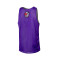 Top MITCHELL&NESS Réversible Mesh Practice Tank Vintage Toronto Raptors