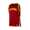 Jersey Nike Selección de España Limited Jersey Road 2024 Mujer