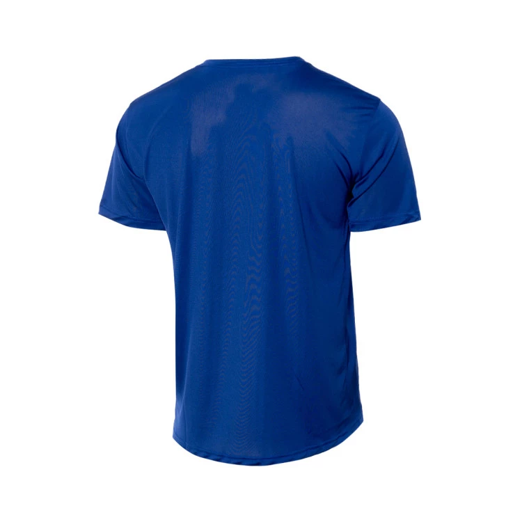 camiseta-nike-seleccion-de-grecia-training-2024-azul-electrico-1