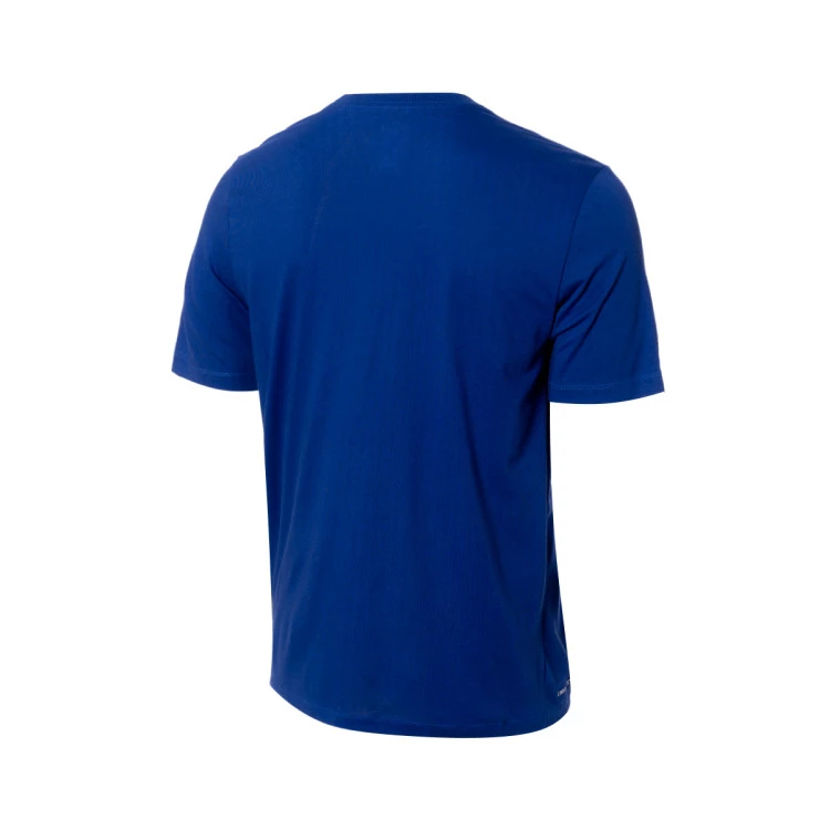 camiseta-nike-seleccion-de-grecia-2024-azul-electrico-1