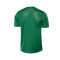 Camiseta Nike Selección de Lituania Training 2024