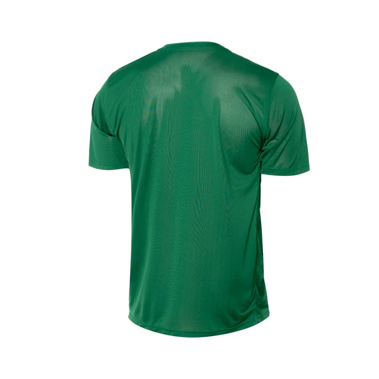 camiseta-nike-seleccion-de-lituania-training-2024-verde-1