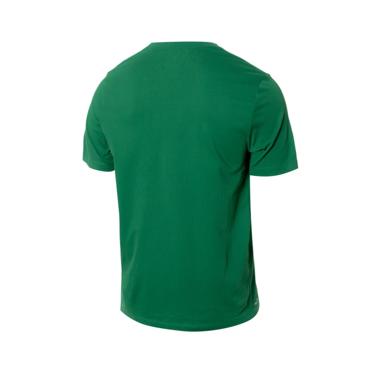 camiseta-nike-seleccion-de-lituania-fanswear-2024-verde-1