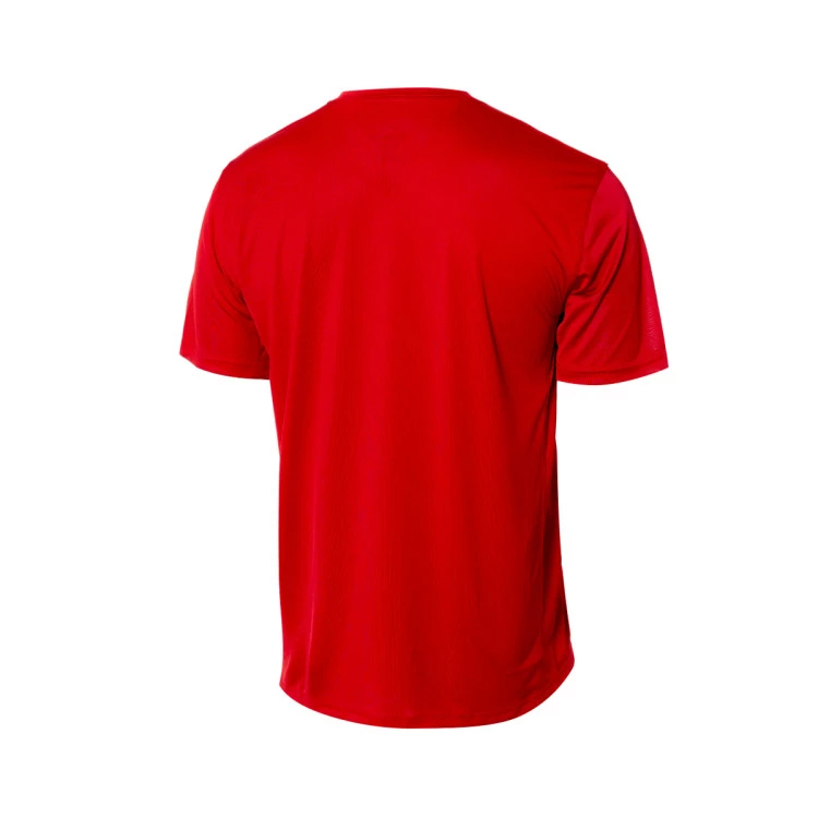 camiseta-nike-seleccion-de-espana-training-2024-gym-red-tour-yellow-1