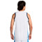 Jersey Nike Selección de Grecia Limited Jersey Home 2024