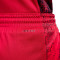 Pantalón corto Nike Selección de Estados Unidos Limited Road Mujer 2024