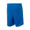 Nike Greece Limited Road 2024 Shorts