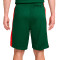 Pantalón corto Nike Selección de Lituania Limited Road 2024