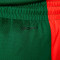 Nike Lithuania Limited Road 2024 Shorts