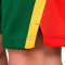 Short Nike Équipe nationale de Lituanie Limited Road 2024