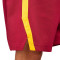 Short Nike Selección de España Limited Road 2024